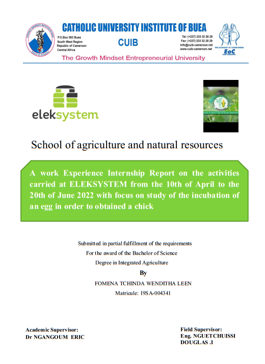 ELEKSYSTEM ACADEMY – STAGE EN PRODUCTION DES POUSSINS